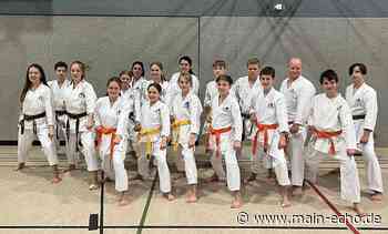 Gürtelprüfungen beim Karate-seminar in Tauberbischofsheim - Main-Echo