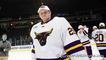 New Jersey Devils: Is Dryden McKay The Answer In Net? - Pucks and Pitchforks