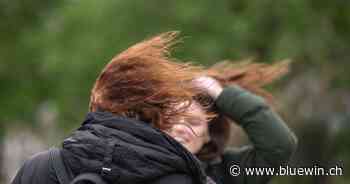 Ticino spazzato dal vento, raffiche fino a 80 km/h in pianura - blue News | Svizzera italiana
