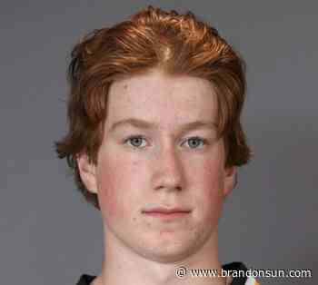 Wheat Kings rally to beat Warriors in shootout - The Brandon Sun