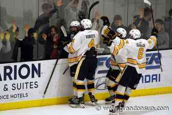 Wheat Kings edge Wild in overtime thriller - The Brandon Sun