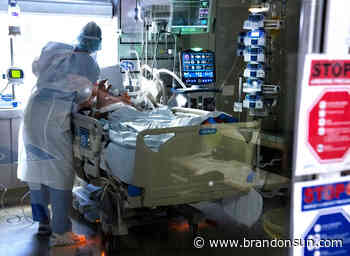 One-fifth of PMH nursing jobs vacant: Documents - The Brandon Sun