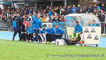 Fußball – Landesliga - VfL Nagold gegen SG Empfingen vor heikler Aufgabe - Schwarzwälder Bote