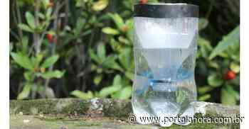 Imbituba chega ao 23º foco do Aedes aegypti em 2022, encontrados em seis bairros; Sagrada Família é onde está quase metade dos casos - Portal AHora