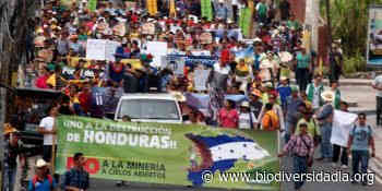 Honduras: La Guacamaya en la mina de oro - Biodiversidadla