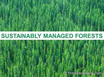 A healthy forest helps battle climate change: forest industry reps - The Nelson Daily