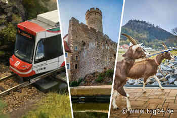 Acht Tipps für Euren Sonntag: Das ist in Dresden und Umgebung los! - TAG24