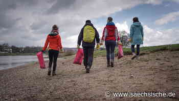 Dresden: Müll am Elbufer: „Ich finde, es fehlt an Papierkörben“ - Sächsische.de