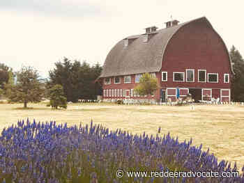 Mechanic reaps windfall from art in Connecticut dumpster - Red Deer Advocate