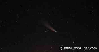 Every Major Asteroid in Astrology, Explained - POPSUGAR