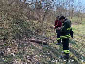 Canelli, bombola di acetilene trovata in una scarpata a "Puliamo Insieme" - La Nuova Provincia - La Nuova Provincia - Asti
