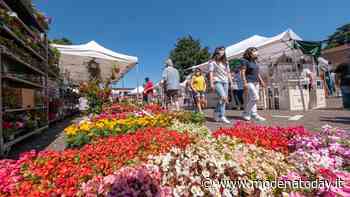 La Festa di Primavera tra fiori e shopping a Maranello - ModenaToday