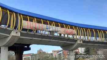 Lupi salvi, il Catania è fallito. I tifosi tappezzano la città di striscioni: “Tutti allo stadio” - Primonumero