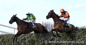 Two horses die at Grand National 2022 - Hull Live