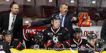 Jody Hull to serve as interim head coach for Niagara IceDogs for rest of the season - The Peterborough Examiner