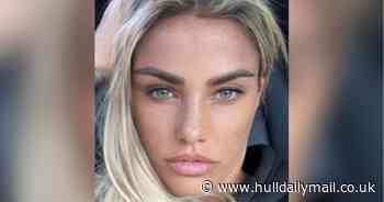 Katie Price wows fans with stripped back look - Hull Live