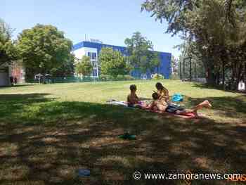 Zamora registra 80 piscinas censadas - Zamora News