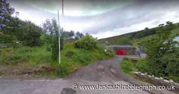 Application to build eight new homes in Rossendale on site overrun with Japanese knotweed