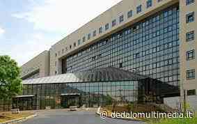 Forum Enna 2030: Il posto naturale dove far sorgere il Policlinico è il territorio ennese - Dedalomultimedia