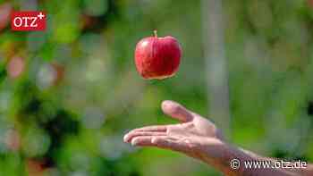 Gesundheitswochen: Gesundheitswoche: Obst aus Thüringen wird künftig noch wichtiger