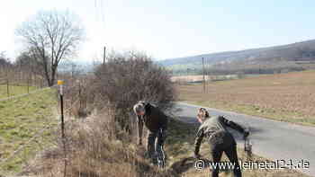 „Hoffnungsvolle Beiträge gegen das Artensterben“ - leinetal24.de