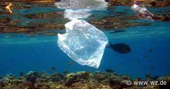 Circular Valley: Ein Netzwerk für Nachhaltigkeit in Wuppertal - Westdeutsche Zeitung