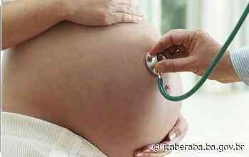 Itaberaba é destaque na atenção pré-natal e humanização do parto - Prefeitura de Itaberaba (.gov)