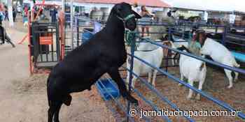 #Chapada: ExpoParaguaçu em Itaberaba movimenta R$10 milhões em negócios e ultrapassa 40% do valor da edição anterior - Jornal da Chapada