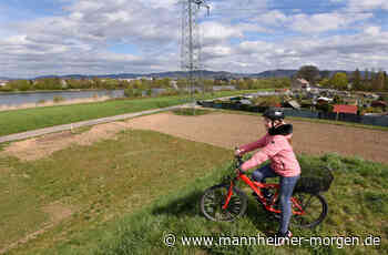 Das wünschen sich Nutzer vom Radschnellweg Mannheim-Heidelberg - Ilvesheim - Nachrichten und Informationen - Mannheimer Morgen