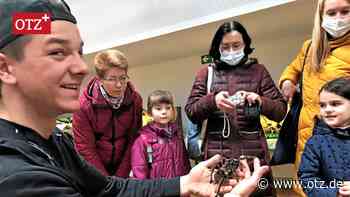 Vogelspinnen in Jena zu Gast - Ostthüringer Zeitung