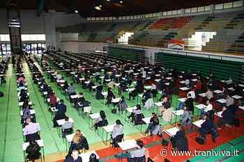 Approvata la graduatoria per 5 posti di Specialista Amministrativo: i nomi - TraniViva