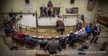 Livestock auction investments allowed under A-PLUS bill