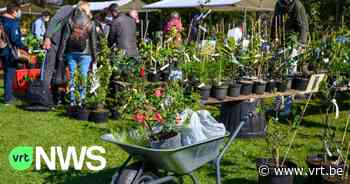 Plantendag in Arboretum Kalmthout lokt veel volk: “Ik ben hier voor het olifantenknoflook" - VRT NWS