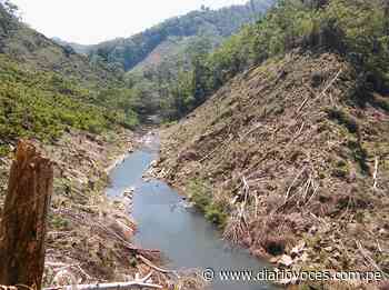No a la hidroeléctrica del Shima porque traerá consecuencias nefastas para Saposoa - diariovoces.com.pe