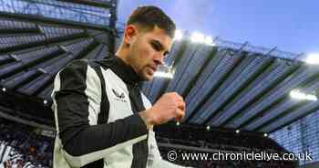 Bruno Guimaraes Wolves display gave us a glimpse of exciting Newcastle United future - Chronicle Live