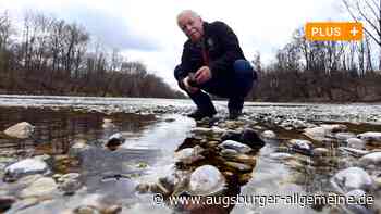 Meitingen: Hubert Schuster versteht so viel vom Fischen wie kaum ein anderer | Augsburger Allgemeine - Augsburger Allgemeine