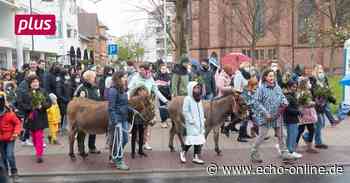 Lampertheim: Esel symbolisieren das Reittier Jesu Christi - Echo Online
