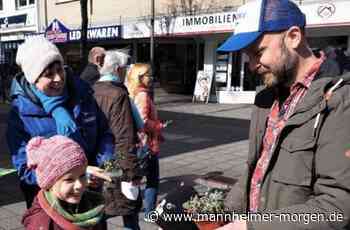 Tipps der Experten sind gefragt - Lampertheim - Nachrichten und Informationen - Mannheimer Morgen