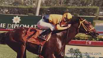 Former Horse Trainer Living At Elderly Care Center Gets Special Visit