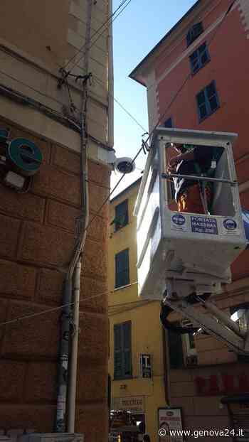 Da Voltri a Marassi al monte Fasce: in funzione da oggi altre 23 telecamere a Genova - Genova24.it