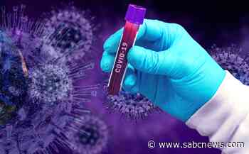 Botswana investigating new coronavirus mutation detected in four people - SABC News
