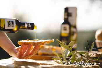 Olio Garda Dop: appuntamento a Sol&Agrifood 2022 – Gardapost - gardapost