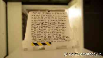 Slow Love Exhibition (Vol. II)