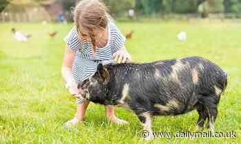 Children think eating animals is 'less morally acceptable than adults'