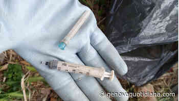 Volontari in opera a Villa Imperiale, ritrovata un'altra siringa, proprio dietro la Biblioteca Lercari - GenovaQuotidiana