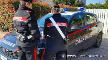 Scoprono i ladri all'opera nella loro casa e li mettono in fuga - Luccaindiretta - LuccaInDiretta