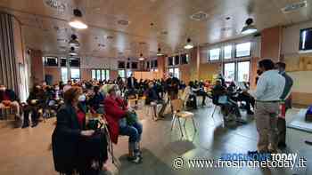 “Oro Verde”: premiati i migliori oli extra vergine d’oliva a Colleferro - FrosinoneToday