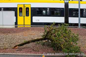 Breisgau-S-Bahn: Strecke zwischen Breisach und Gottenheim weiterhin gesperrt - Breisach - Badische Zeitung