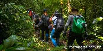 Ecoturismo: Conheça as opções de trilhas em Bertioga - Costa Norte