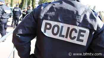 Nice: un individu interpellé pour avoir traîné un chiot par l'oreille - BFMTV